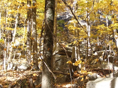 fall